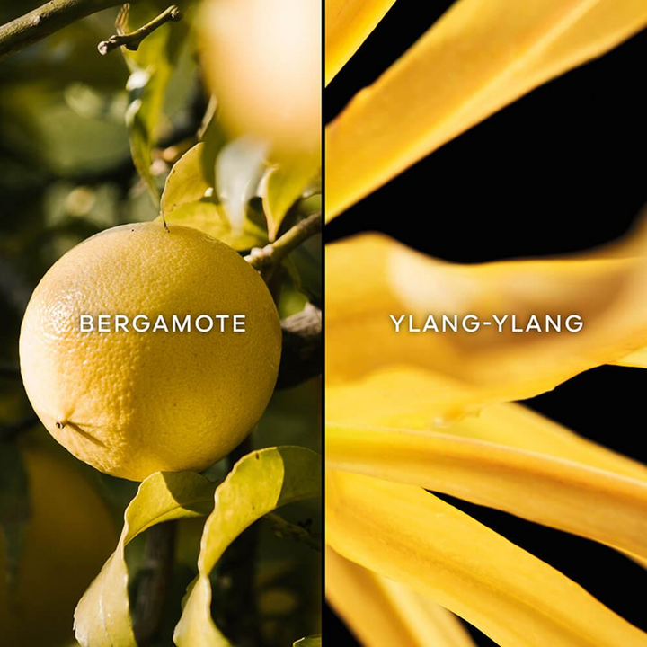 Les Légendaires Terracotta - Eau de Toilette