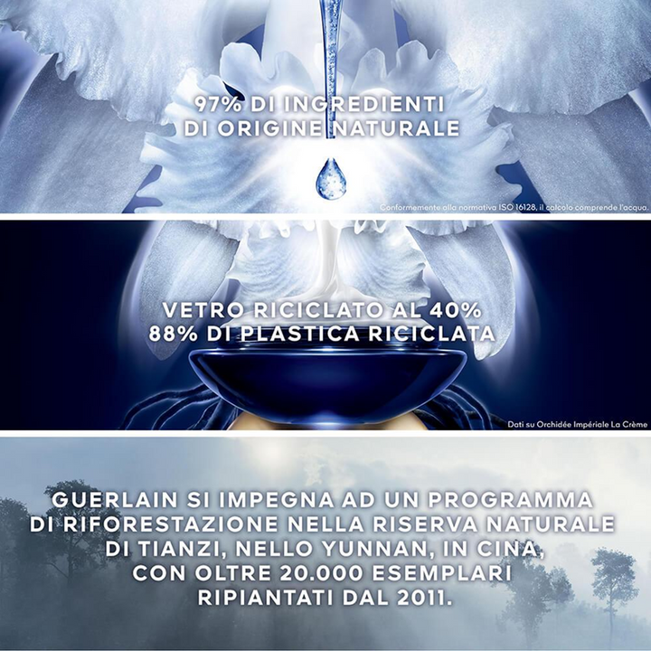 Orchidée Impériale - Le Masque