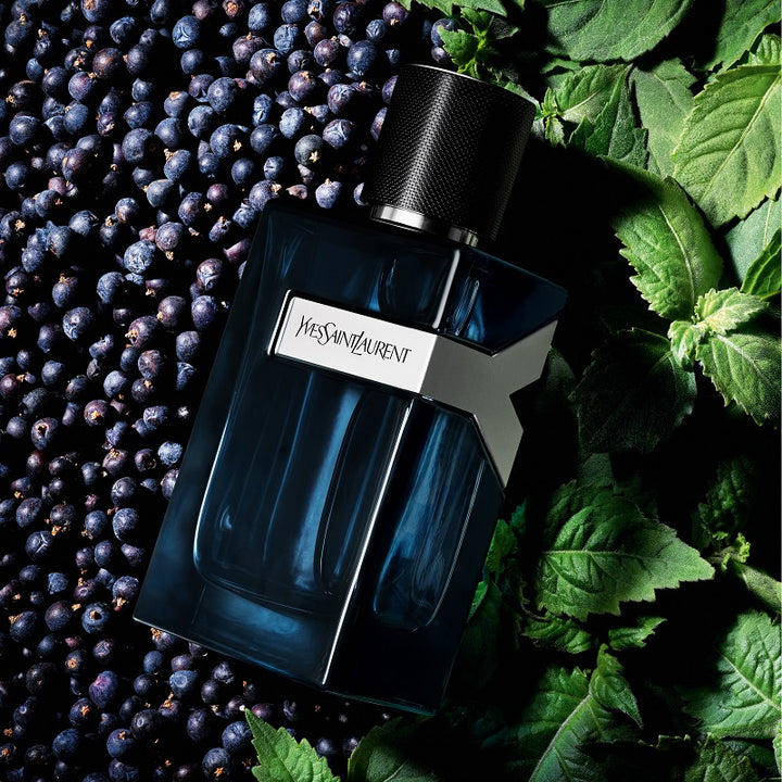 Y - Eau de Parfum Intense