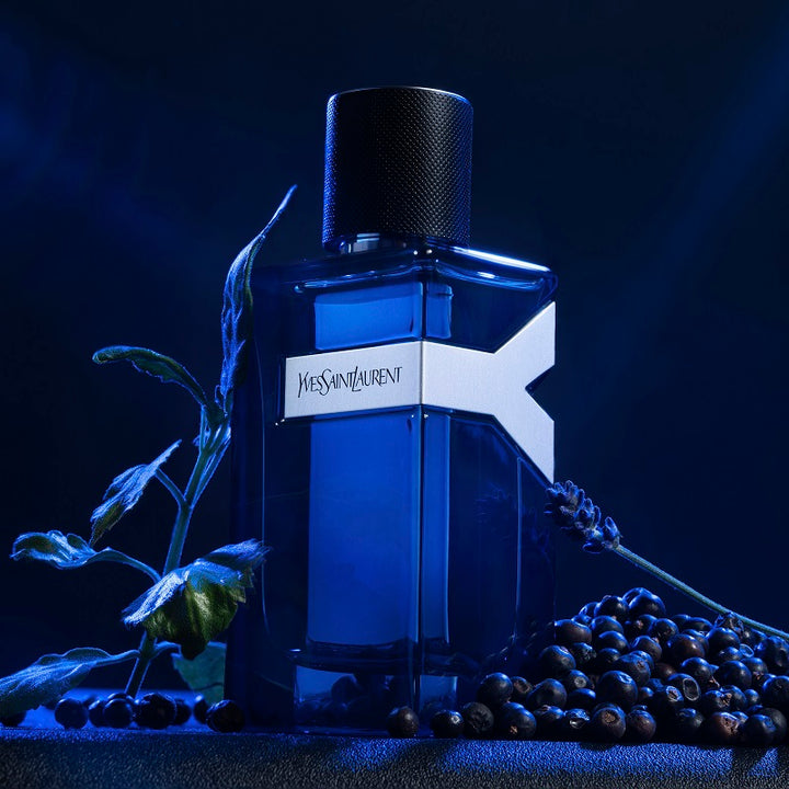 Y - Eau de Parfum Intense