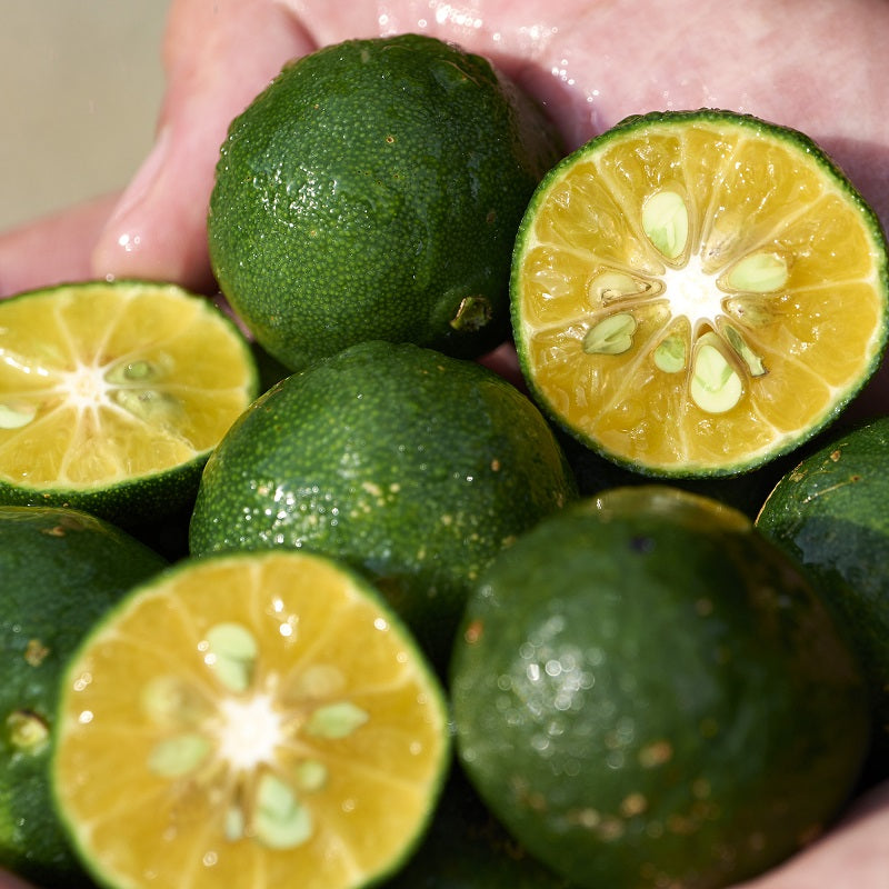 Waso Shikulime Color Control Oil-free Moisturizer Spf 30