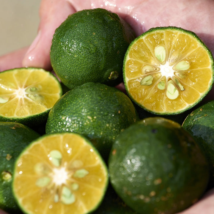 Waso Shikulime Color Control Oil-free Moisturizer Spf 30