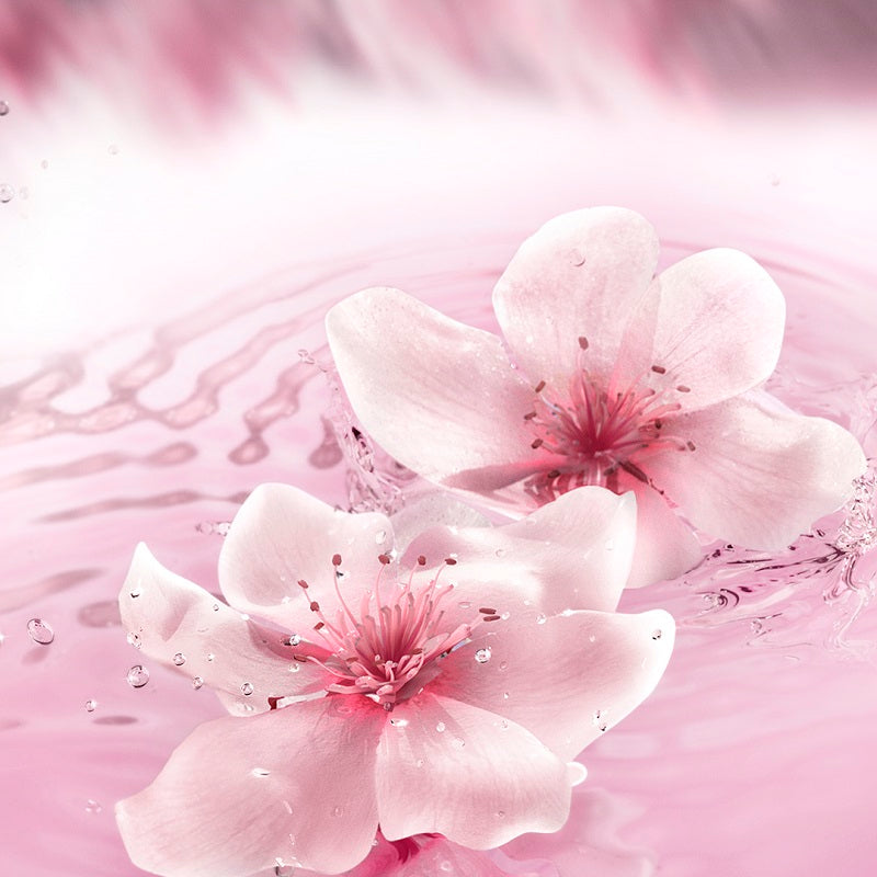 Dream Dusk - Eau de Parfum