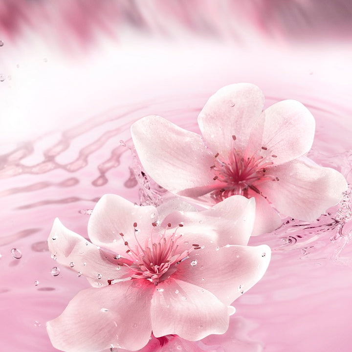 Dream Dusk - Eau de Parfum