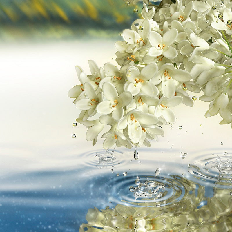 Paradise Moon - Eau de Parfum