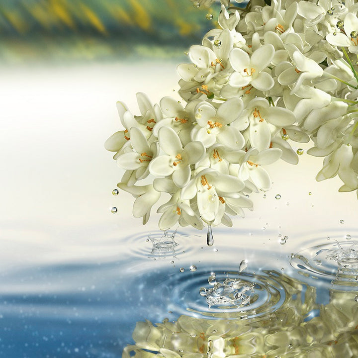 Paradise Moon - Eau de Parfum