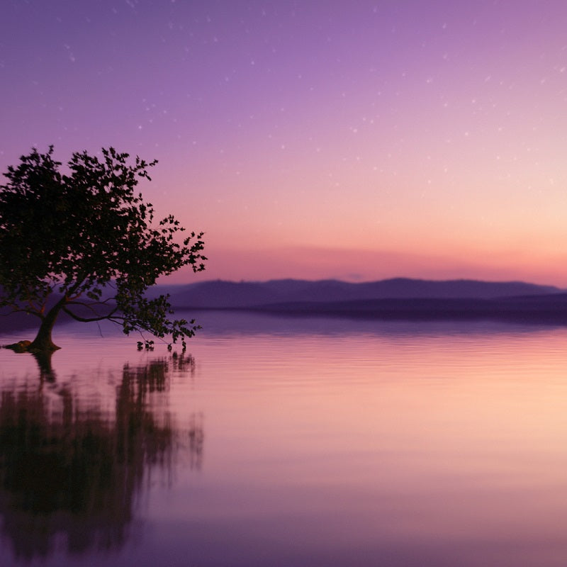 Sensuous Stars - Eau de Parfum