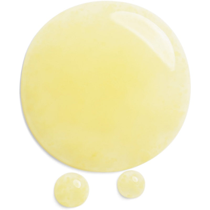 Shiseido benefiance siero viso antirughe