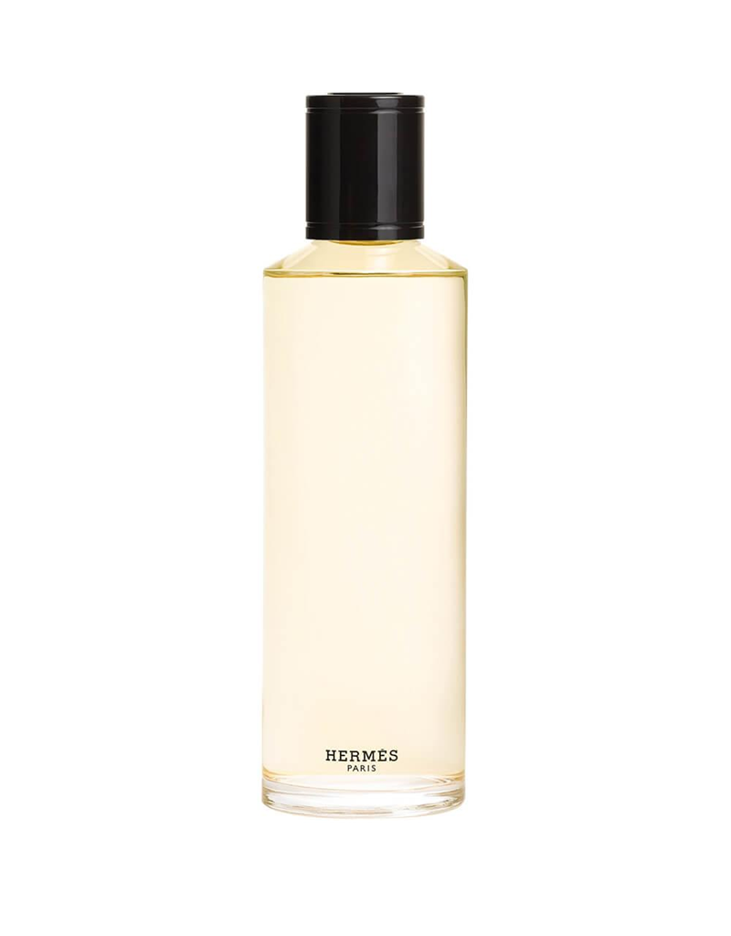 Terre d'Hermès - Eau de Parfum Intense Ricarica