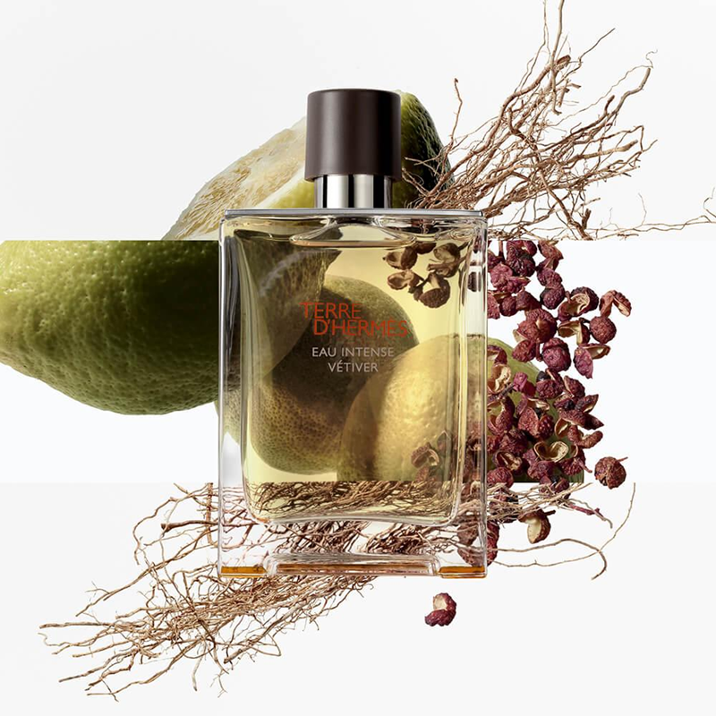 Terre D'Hermès Eau Intense Vétiver - Eau de Parfum