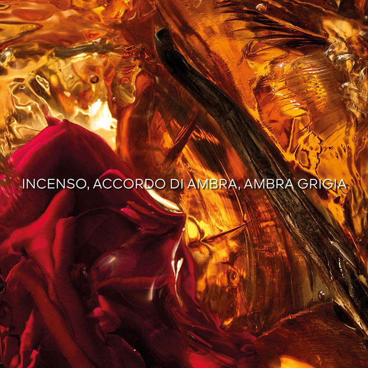 Absolus Allegoria Ambre Samar - Eau de Parfum