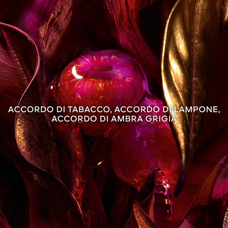 Absolus Allegoria Tabac Sahara - Eau de Parfum