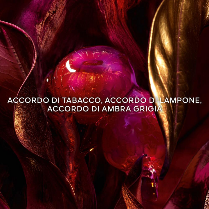 Absolus Allegoria Tabac Sahara - Eau de Parfum