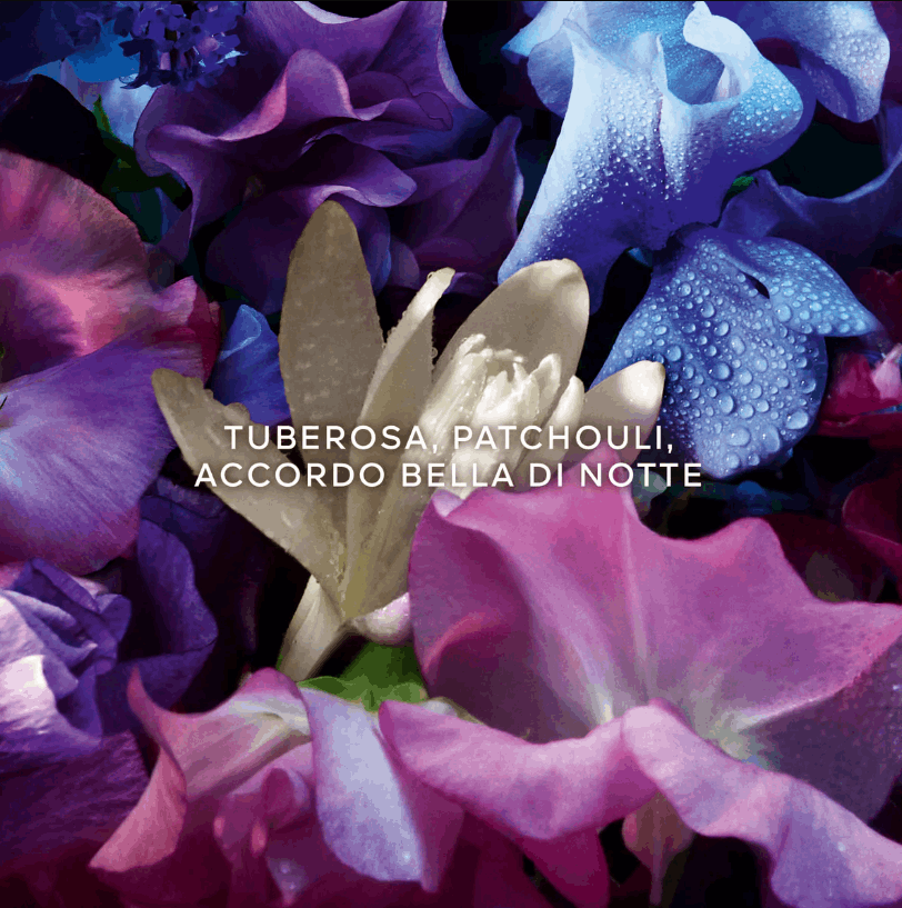 Absolus Allegoria Florabloom - Eau de Parfum