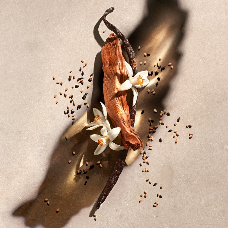 Zadig - Eau de Parfum