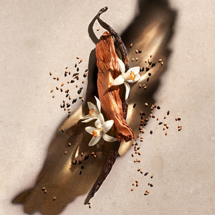 Zadig - Eau de Parfum