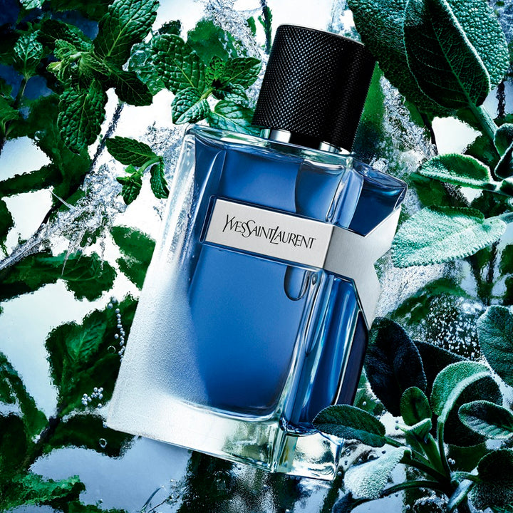 Y Iced Cologne - Eau de Toilette Intense