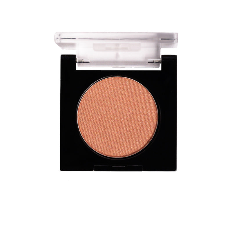 Color Idol Mono Eyeshadow