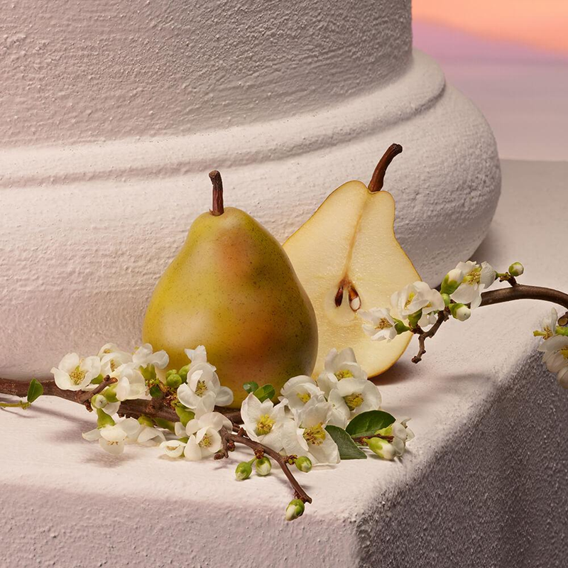 My Devotion - Eau de Parfum Intense