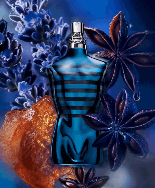 Le Male in Blue - Eau de Parfum