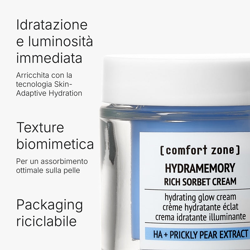 Hydramemory Rich Sorbet Cream