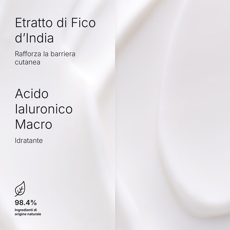 Hydramemory Rich Sorbet Cream